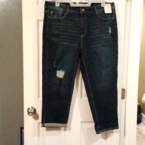 Terra Sky Jeans NWT Sz18W